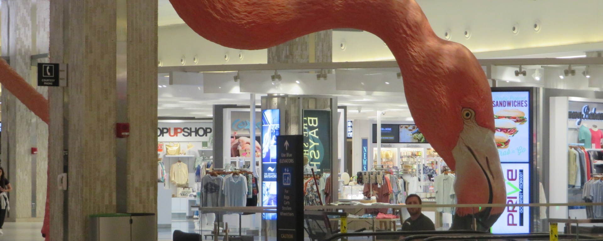 Giant Flamingo welcomes you to Tampa, FL