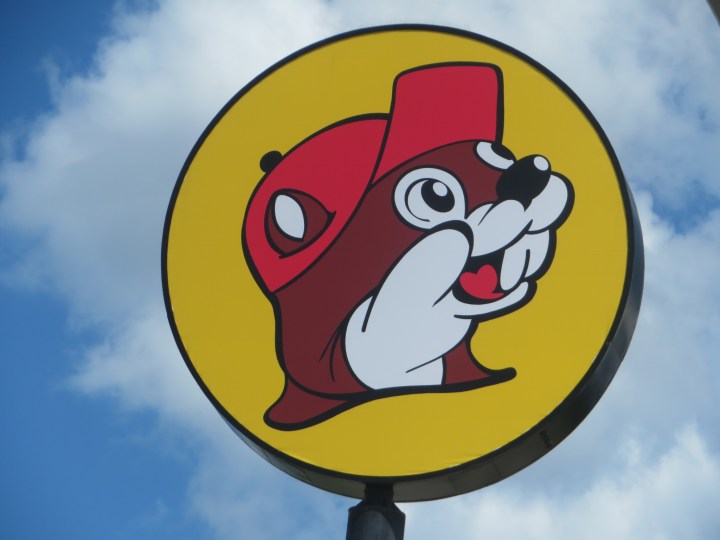 Buc'ees own cute mascot
